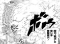 Shibuki